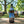 Augustinerbräu Oktoberfest Bier 500ml - thebeerhoose.co.uk
