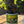 Chouffe IPA 330ml - thebeerhoose.co.uk