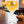 Leffe Half Pint Glass ( Set of 2 ) - thebeerhoose.co.uk